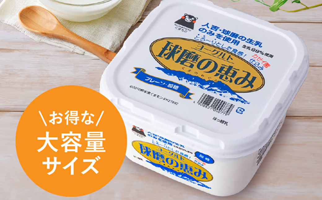 逅逎ィ縺ョ諱オ縺ソ 繝ィ繝シ繧ー繝ォ繝 (蜉邉) 1kgテ4繝代ャ繧ッ 險4kg