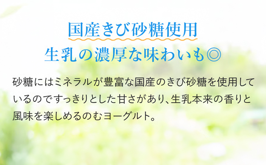 ããµãããšçŽçšãçç£šã®æµã¿ãšãŒã°ã«ãïŒã®ããšãŒã°ã«ã ãã¬ãŒã³ 倧容éã»ãã ãšãŒã°ã«ã (å ç³ã»ç ç³äžäœ¿çš) 1000g 1ããã¯ã〠ã®ããšãŒã°ã«ã (å ç³ã»ç ç³äžäœ¿çš) 450g 1æ¬ã〠150g 3æ¬ã〠éæç¡æ çæ¬ç æ°Žäžæ