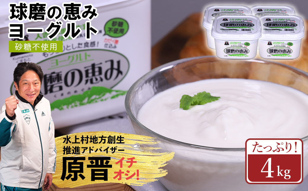 球磨の恵み ヨーグルト (砂糖不使用) 1kg×4パック 計4kg
