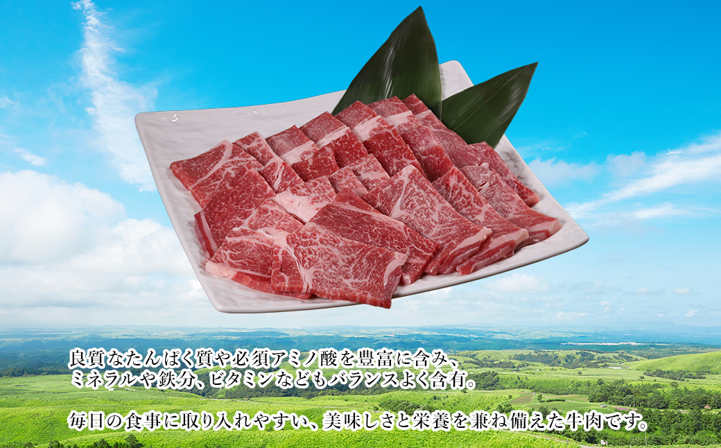 ããµãããšçŽçšã çæ¬ç£ ããç çŒèçš 500g è çè 赀身è ããççŒè çŒãè ããŒããã¥ãŒ å·å ãåãå¯ã çæ¬ç æ°Žäžæ