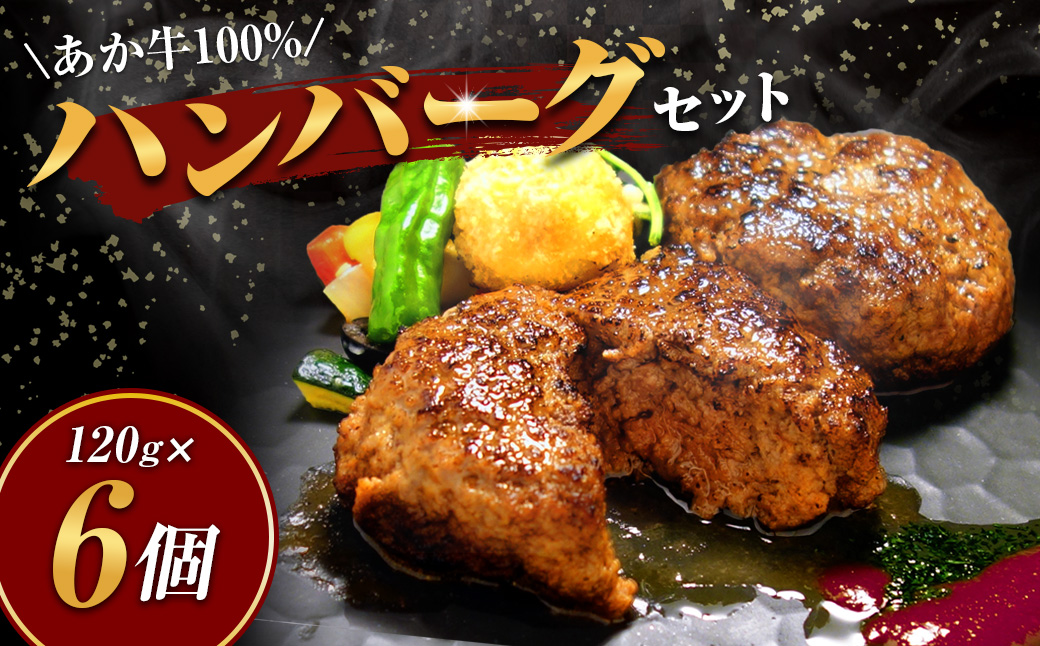 あか牛 100％ ハンバーグ セット （あか牛ハンバーグ 約120g×6個） 合計 約720g 肉 にく ミート 牛肉 ビーフ ミンチ ひき肉 挽き肉 赤身 本格ハンバーグ 惣菜 おかず 冷凍