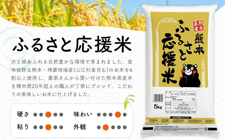 米 無洗米 家庭用 熊本 ふるさと応援米 10kg《7-14日以内に出荷予定(土日祝除く)》熊本県産 精米 山江村 ブレンド米 国産 洗わず おうちご飯 返礼品 発送 配送 SDGs