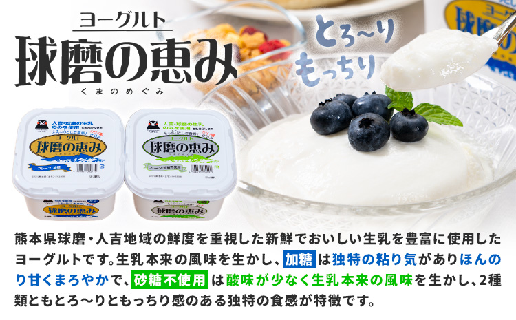 球磨の恵み ヨーグルト 計2個 のむヨーグルト 計8本 堪能セット 球磨酪農農業協同組合《30日以内に出荷予定(土日祝除く)》熊本県 球磨郡 山江村 球磨の恵みヨーグルト 球磨の恵みのむヨーグルト 加糖 砂糖不使用 熊本県産 生乳 使用
