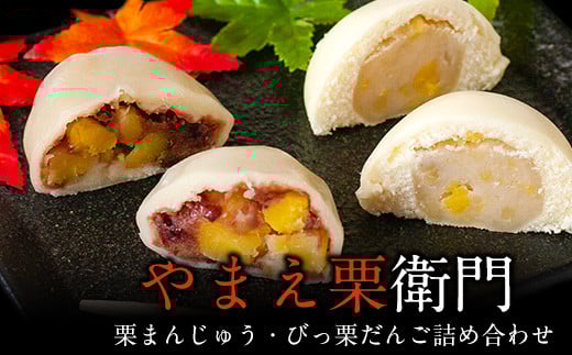 熊本県山江村産 やまえ栗衛門 栗まんじゅう・びっ栗だんご詰め合わせ 株式会社 やまえ《60日以内に出荷予定(土日祝除く)》 栗 くり