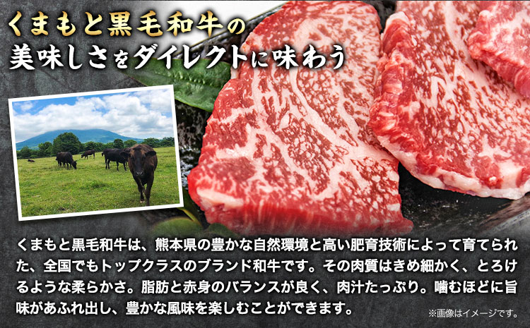 牛肉 くまもと黒毛和牛 カルビ ロース 焼肉 食べ比べセット 300g 150g × 2《30日以内に出荷予定(土日祝除く)》熊本県 山江村 くまもと黒毛和牛 黒毛和牛 冷凍 焼肉 カルビ ロース たれ付き 送料無料 富士商株式会社