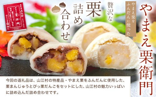 熊本県山江村産 やまえ栗衛門 栗まんじゅう・びっ栗だんご詰め合わせ 株式会社 やまえ《60日以内に出荷予定(土日祝除く)》 栗 くり