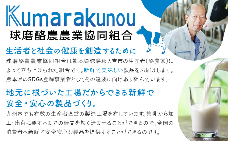 球磨の恵み ヨーグルト 計2個 のむヨーグルト 計8本 堪能セット 球磨酪農農業協同組合《30日以内に出荷予定(土日祝除く)》熊本県 球磨郡 山江村 球磨の恵みヨーグルト 球磨の恵みのむヨーグルト 加糖 砂糖不使用 熊本県産 生乳 使用