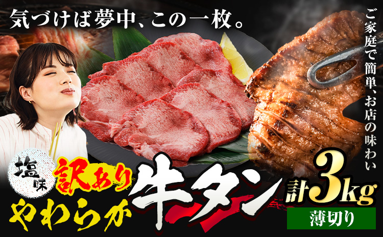 牛タン 薄切り 塩味 3kg 500g×6袋 《30日以内に出荷予定(土日祝除く)》 牛肉 肉 牛 たん タン 牛たん 焼くだけ 訳あり 焼肉 焼き肉 熊本県 山江村 薄切り BBQ タン下 塩牛タン 冷凍 味付け肉 一番人気 塩味 お取り寄せ