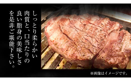A4等級以上 熊本県産黒毛和牛 サーロインステーキ 3枚入り(1枚200g前後) チクキョウミート《60日以内に出荷予定(土日祝除く)》