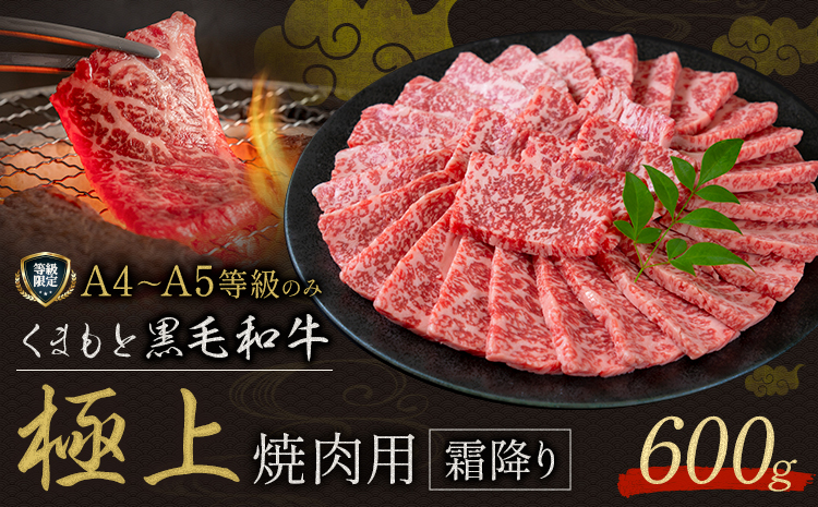 畜産農家応援企画★黒毛和牛 くまもと黒毛和牛 A4-A5等級 霜降り 焼肉用 600g 牛肉《7-14日以内に出荷予定(土日祝除く)》焼肉 焼き肉