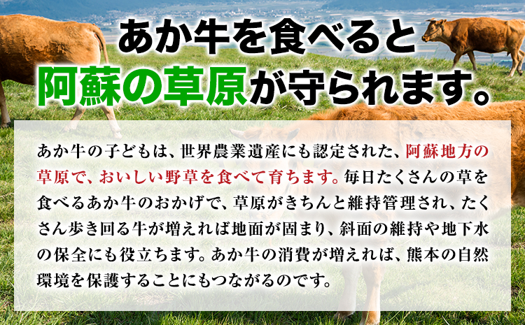 辭頑悽逵檎肇蜥檎央縺ゅ°迚 繝ュ繝シ繧ケ繧ケ繝繝シ繧ュ 500g 縲90譌・莉・蜀縺ォ蜃コ闕キ莠亥ョ(蝨滓律逾晞勁縺)縲九≠縺狗央 襍、迚 縺ゅ°縺縺 螻ア豎滓搗