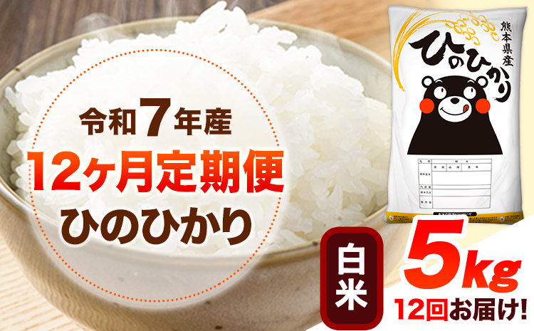 令和7年産【12ヶ月定期便】 白米 ひのひかり 5kg 《お申込み翌月から出荷》 熊本県産 白米 精米 ひの 送料無料 熊本県 山江村 SDGs 米 コメ こめ 国産