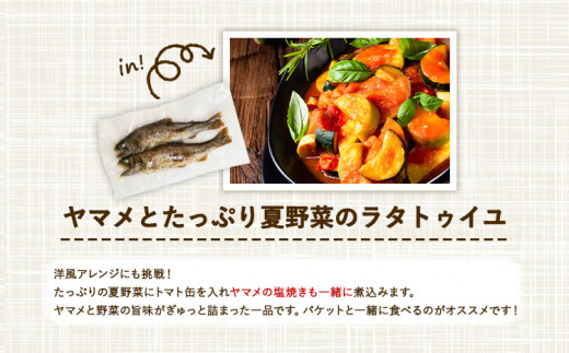 繝、繝槭Γ縺ョ蝪ゥ辟シ縺 3陲(2蟆セ邏100gテ3陲) 螻ア豎滓搗繝、繝槭Γ逕溽肇邨蜷医30譌・莉・蜀縺ォ蜃コ闕キ莠亥ョ(蝨滓律逾晞勁縺)縲