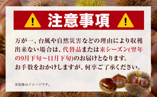 GI認証登録 山江村の やまえ栗 生栗 3kg 品種指定なし 筑波 美玖里 など旬の品種 やまえ栗ブランド部会 有限会社やまえ堂《9月下旬-10月中旬頃出荷》熊本県 球磨郡 山江村 栗 くり フルーツ 熊本県産 果物 早期 予約st-p