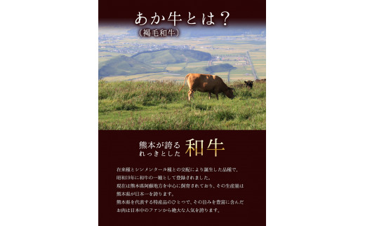 あか牛（褐毛和牛） ヒレステーキ 450g フィレ ヘレ《2026年1月中旬-3月末頃出荷》