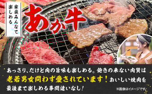 あか牛 焼肉用カット 500g 五右衛門フーズ 《60日以内に出荷予定(土日祝除く)》 熊本県 球磨郡 山江村 牛肉 肉 国産 熊本県産 ブランド牛 絶品 贅沢 高級 焼肉