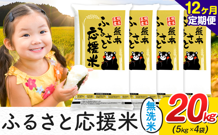 【12ヶ月定期便】米 無洗米 家庭用 熊本 ふるさと応援 定期便 米 20kg《お申込み翌月から出荷》 熊本県産 白米 精米 山江村 ブレンド米 国産 おうちご飯 返礼品 発送 配送 SDGs わけあり むせんまい お米 おこめ
