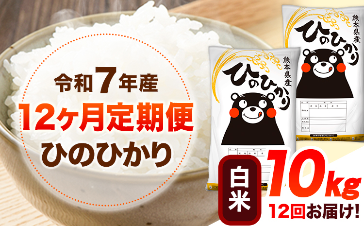 【12ヶ月定期便】令和7年産 白米 ひのひかり 10kg 《お申込み翌月から出荷》 熊本県産 白米 精米 ひの 送料無料 熊本県 山江村 SDGs 米 コメ こめ 国産