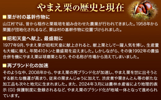 GI認証登録 山江村の やまえ栗 生栗 3kg 品種指定なし 筑波 美玖里 など旬の品種 やまえ栗ブランド部会 有限会社やまえ堂《9月下旬-10月中旬頃出荷》熊本県 球磨郡 山江村 栗 くり フルーツ 熊本県産 果物 早期 予約st-p
