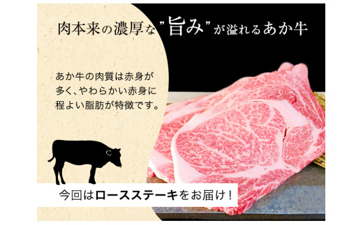 ロースステーキ 600g 200g×3枚 《60日以内に出荷予定(土日祝除く)》