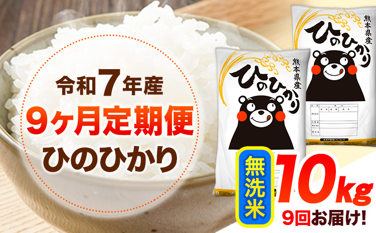 令和7年産 【9ヶ月定期便】 無洗米 ひのひかり 10kg 《お申し込み月の翌月から出荷開始》 熊本県産 無洗米 白米 精米 ひの 送料無料 熊本県 山江村 SDGs むせんまい 米 コメ こめ 国産
