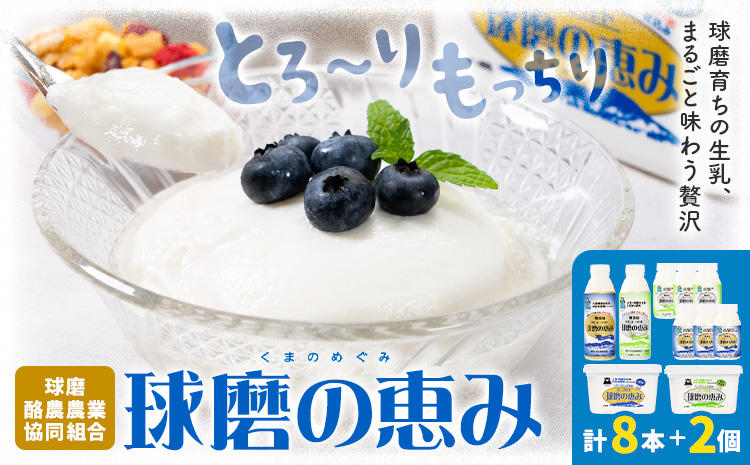 球磨の恵み ヨーグルト 計2個 のむヨーグルト 計8本 堪能セット 球磨酪農農業協同組合《30日以内に出荷予定(土日祝除く)》熊本県 球磨郡 山江村 球磨の恵みヨーグルト 球磨の恵みのむヨーグルト 加糖 砂糖不使用 熊本県産 生乳 使用