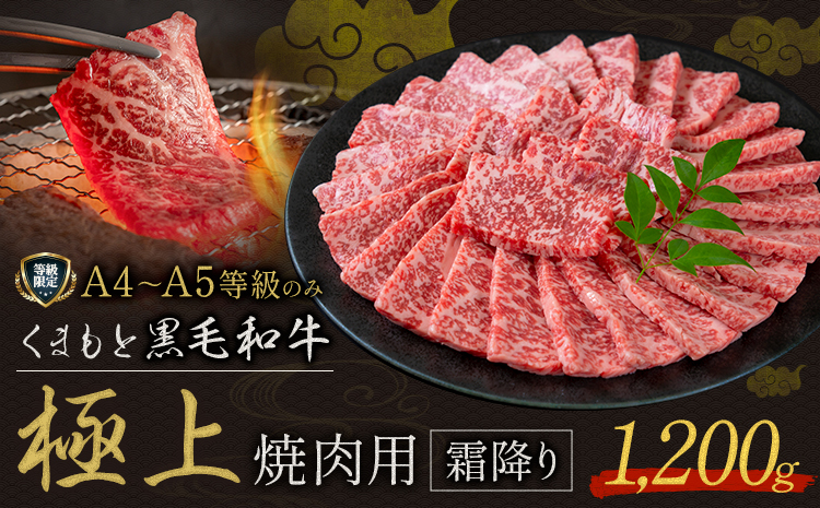 畜産農家応援企画★黒毛和牛 くまもと黒毛和牛 A4-A5等級 霜降り 焼肉用 1200g 牛肉《7-14日以内に出荷予定(土日祝除く)》焼肉 焼き肉