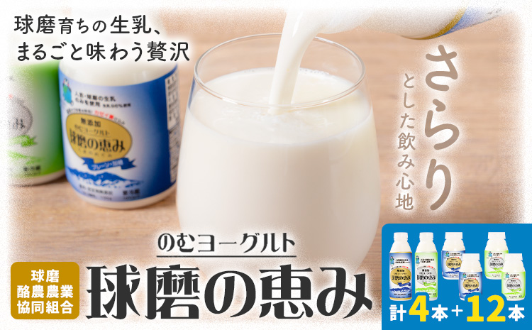 球磨の恵み ヨーグルト 計2個 のむヨーグルト 計8本 堪能セット 球磨酪農農業協同組合《30日以内に出荷予定(土日祝除く)》熊本県 球磨郡 山江村 球磨の恵みヨーグルト 球磨の恵みのむヨーグルト 加糖 砂糖不使用 熊本県産 生乳 使用