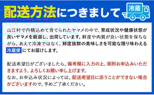 生ヤマメ 1kg 約10匹 山江村ヤマメ生産組合《30日以内に出荷予定(土日祝除く)》魚介類 魚 生鮮品 送料無料 冷蔵便