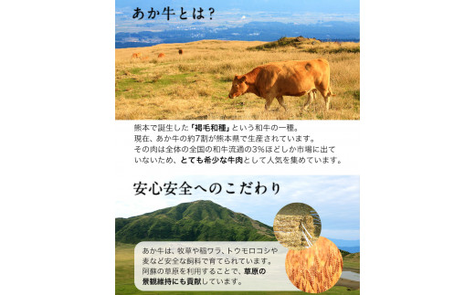 ロースステーキ 600g 200g×3枚 《60日以内に出荷予定(土日祝除く)》