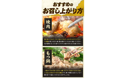 あか牛 白ホルモン 500g 五右衛門フーズ 《60日以内に出荷予定(土日祝除く)》 熊本県 球磨郡 山江村 牛肉 肉 国産 熊本県産 ブランド牛 絶品 贅沢 高級 あか牛 ホルモン もつ モツ もつ鍋