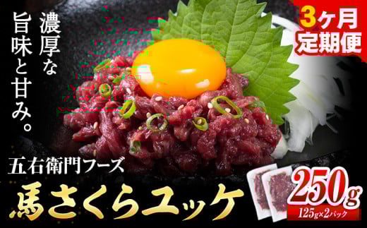馬肉 馬さくらユッケ 125g × 2パック 750g 3ヶ月定期便 五右衛門フーズ 《お申込み月の翌月から出荷開始》 熊本県 球磨郡 山江村 馬肉 肉 国産 馬 さくら ユッケ 小分け 送料無料