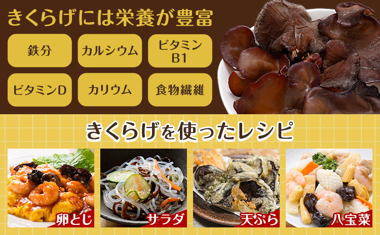 荵セ辯・縺阪¥繧峨£ 40g 鮃ケ荵逕」讌ュ譛蛾剞莨夂、セ 縲30譌・莉・蜀縺ォ蜃コ闕キ莠亥ョ(蝨滓律逾晞勁縺)縲狗頑悽逵 逅逎ィ驛。 螻ア豎滓搗 縺阪¥繧峨£ 縺阪ョ縺 驥手除