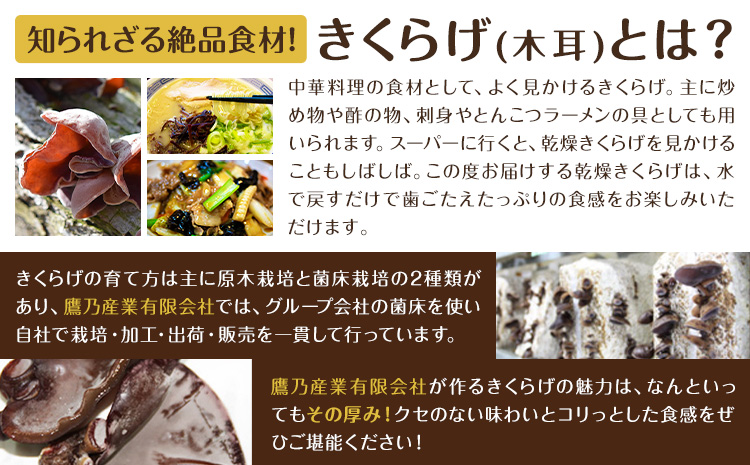 荵セ辯・縺阪¥繧峨£ 40g 鮃ケ荵逕」讌ュ譛蛾剞莨夂、セ 縲30譌・莉・蜀縺ォ蜃コ闕キ莠亥ョ(蝨滓律逾晞勁縺)縲狗頑悽逵 逅逎ィ驛。 螻ア豎滓搗 縺阪¥繧峨£ 縺阪ョ縺 驥手除