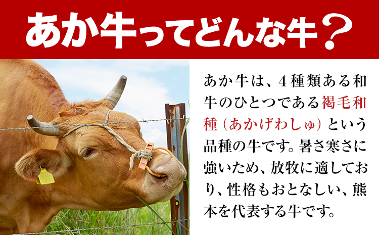 辭頑悽逵檎肇蜥檎央縺ゅ°迚 繝ュ繝シ繧ケ繧ケ繝繝シ繧ュ 500g 縲90譌・莉・蜀縺ォ蜃コ闕キ莠亥ョ(蝨滓律逾晞勁縺)縲九≠縺狗央 襍、迚 縺ゅ°縺縺 螻ア豎滓搗