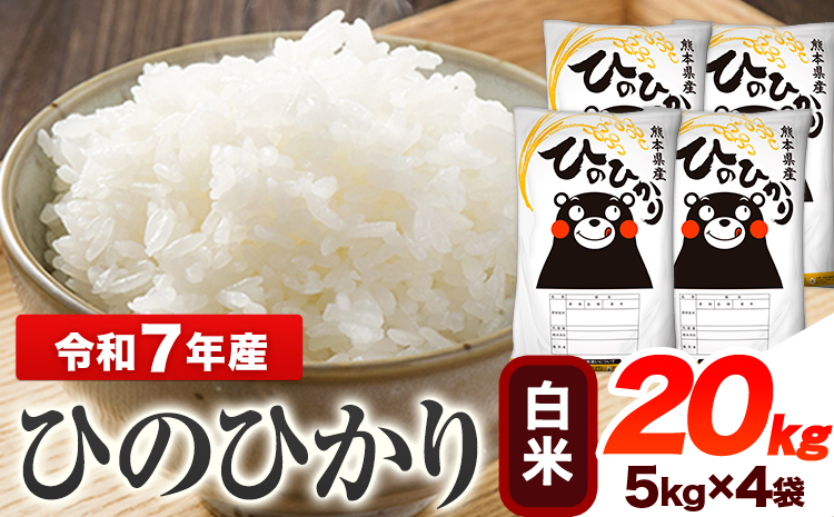 令和7年産 ひのひかり  白米 20kg 《7-14日以内に出荷予定(土日祝除く)》 熊本県産 白米 精米 ひの 送料無料 熊本県 山江村