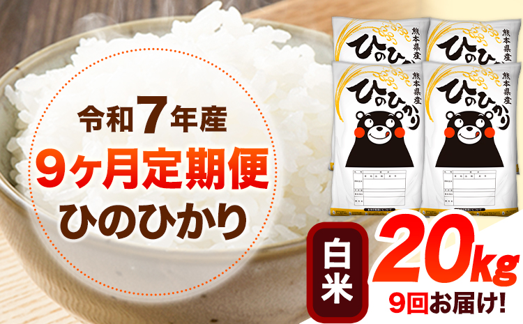 令和7年産 【9ヶ月定期便】 白米 ひのひかり 20kg 《お申し込み月の翌月から出荷開始》 熊本県産 無洗米 白米 精米 ひの 送料無料 熊本県 山江村 SDGs むせんまい 米 コメ こめ 国産