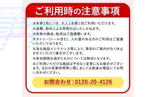 日帰り温泉入浴回数券 12枚綴り 山江温泉ほたる 《30日以内に出荷予定(土日祝除く)》 熊本県 球磨郡 山江村 温泉 入浴券 送料無料
