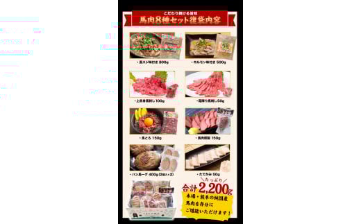 純国産馬肉8種セット 計2200g 《60日以内に出荷予定(土日祝除く)》 熊本肥育 2年連続農林水産大臣賞受賞 送料無料 馬刺し 馬肉 馬スジ ホルモン 燻製 霜降り ハンバーグ 熊本県山江村