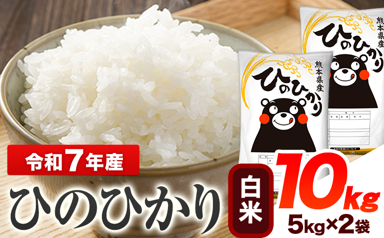 令和7年産 ひのひかり  白米 10kg 《7-14日以内に出荷予定(土日祝除く)》 熊本県産 白米 精米 ひの 送料無料 熊本県 山江村