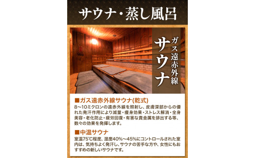 日帰り温泉入浴回数券 12枚綴り 山江温泉ほたる 《30日以内に出荷予定(土日祝除く)》 熊本県 球磨郡 山江村 温泉 入浴券 送料無料