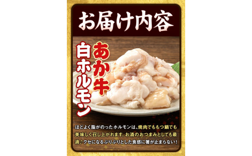 あか牛 白ホルモン 500g 五右衛門フーズ 《60日以内に出荷予定(土日祝除く)》 熊本県 球磨郡 山江村 牛肉 肉 国産 熊本県産 ブランド牛 絶品 贅沢 高級 あか牛 ホルモン もつ モツ もつ鍋