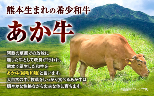 あか牛 切り落とし 500g 五右衛門フーズ 《60日以内に出荷予定(土日祝除く)》 熊本県 球磨郡 山江村 牛肉 肉 国産 熊本県産 ブランド牛 絶品 贅沢 高級 あか牛