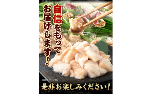 あか牛 白ホルモン 500g 五右衛門フーズ 《60日以内に出荷予定(土日祝除く)》 熊本県 球磨郡 山江村 牛肉 肉 国産 熊本県産 ブランド牛 絶品 贅沢 高級 あか牛 ホルモン もつ モツ もつ鍋
