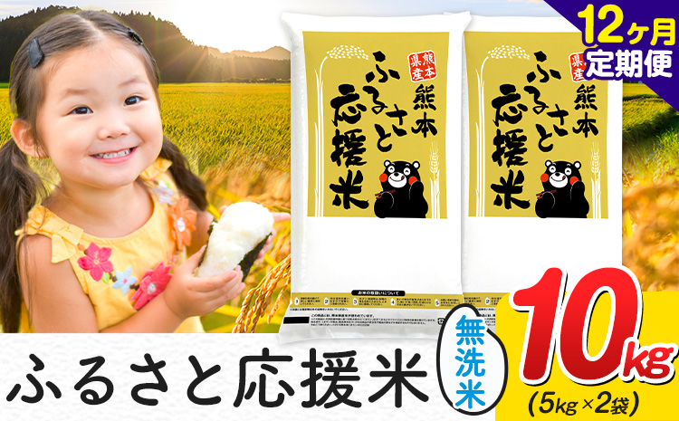 【12ヶ月定期便】米 無洗米 家庭用 熊本 ふるさと応援 定期便 米 10kg《お申込み翌月から出荷》 熊本県産 白米 精米 山江村 ブレンド米 国産 おうちご飯 返礼品 発送 配送 SDGs わけあり むせんまい お米 おこめ