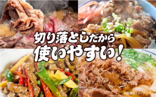 あか牛 切り落とし 500g 五右衛門フーズ 《60日以内に出荷予定(土日祝除く)》 熊本県 球磨郡 山江村 牛肉 肉 国産 熊本県産 ブランド牛 絶品 贅沢 高級 あか牛