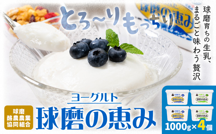 球磨の恵み ヨーグルト 1000g × 4個 球磨酪農農業協同組合《30日以内に出荷予定(土日祝除く)》熊本県 球磨郡 山江村 球磨の恵みヨーグルト 加糖 砂糖不使用 熊本県産 生乳 使用