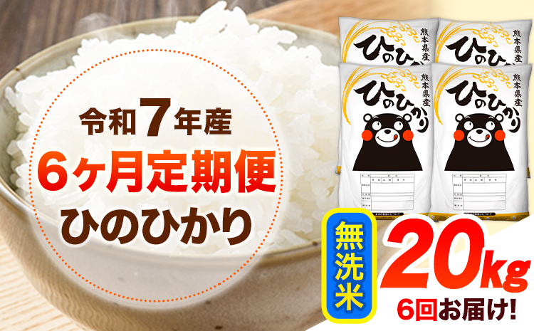 令和7年産【6ヶ月定期便】 無洗米 ひのひかり 20kg 《お申込み翌月から出荷》 熊本県産 無洗米 精米 ひの 送料無料 熊本県 山江村 SDGs 米 コメ こめ 国産
