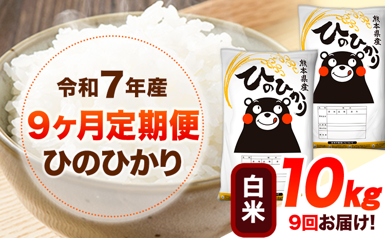 令和7年産 【9ヶ月定期便】 白米 ひのひかり 10kg 《お申し込み月の翌月から出荷開始》 熊本県産 無洗米 白米 精米 ひの 送料無料 熊本県 山江村 SDGs むせんまい 米 コメ こめ 国産