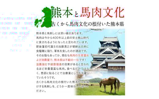 純国産馬肉8種セット 計2200g 《60日以内に出荷予定(土日祝除く)》 熊本肥育 2年連続農林水産大臣賞受賞 送料無料 馬刺し 馬肉 馬スジ ホルモン 燻製 霜降り ハンバーグ 熊本県山江村